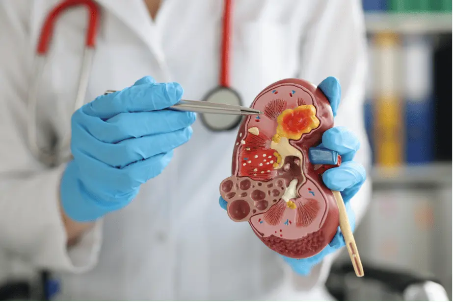 Urology 1